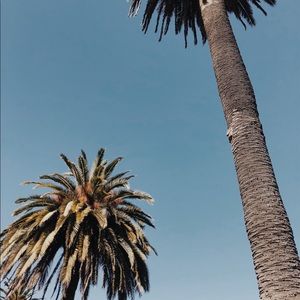 Meet your Posher, Lory